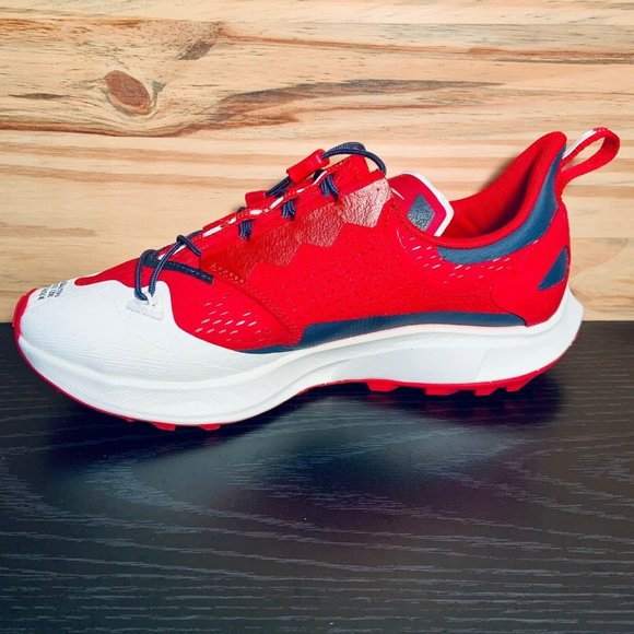 Nike x Gyakusou Zoom Pegasus Roses 36 Women's Running Shoes - Picture 6 of 9